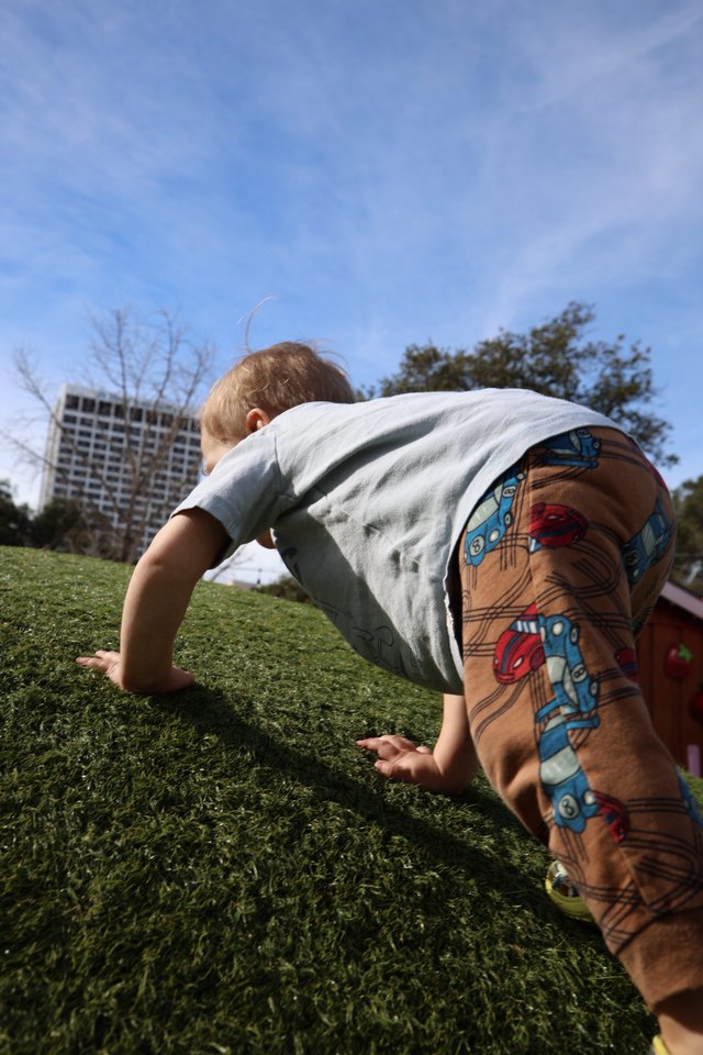 Child Playing on Grass in Urban Park Setting