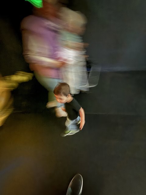 Motion Blur at the Palace