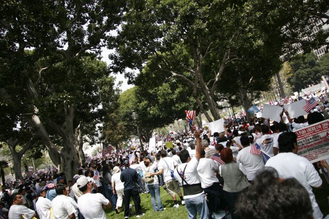 Protest in the Park