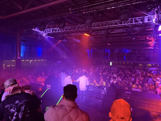 Electronic Music Concert with DJ Performance and Crowd