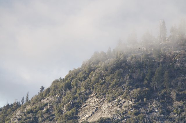 Misty Mountain Ridge Emerging Through Morning Fog