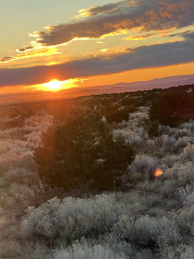 Desert Sunset Over Sagebrush and Distant Mountains