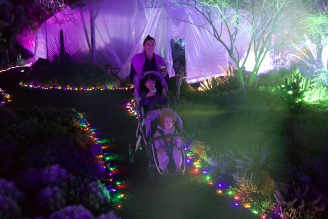 Enchanted Stroll Through Illuminated Gardens