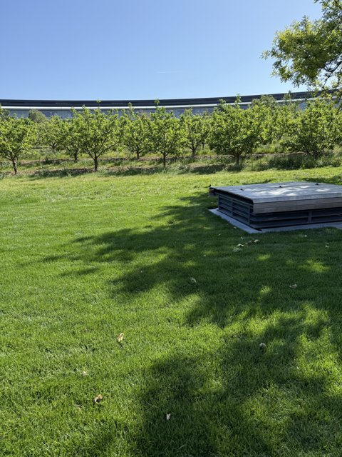 Serenity Amidst Innovation