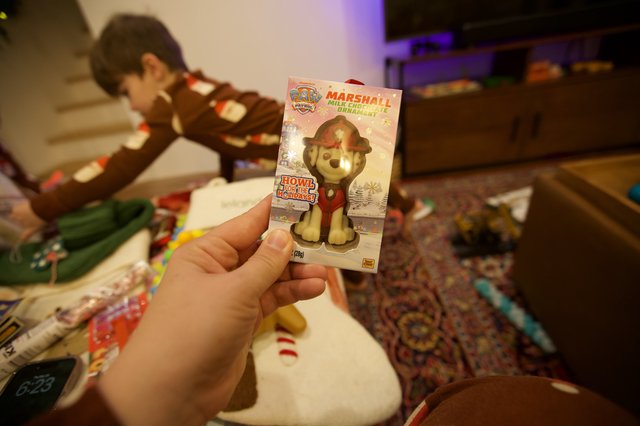 Child Holding Paw Patrol Marshall Christmas Ornament