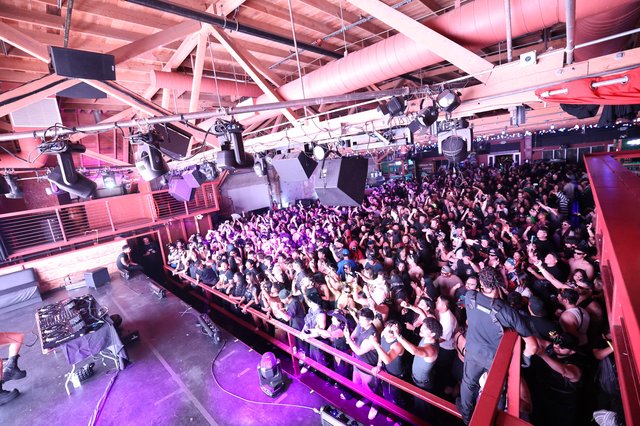 Massive Crowd Erupts at Wobbleland 2026 Festival