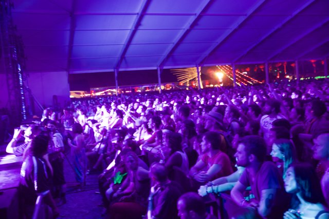 Purple Haze at Coachella 2012 Nightclub