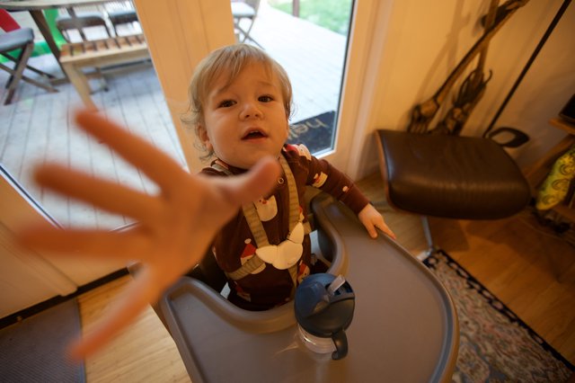 Toddler Reaching Out in Home Kitchen on Christmas
