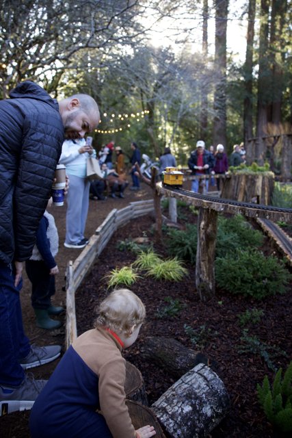 Woodland Wonderland at Thistlewyck