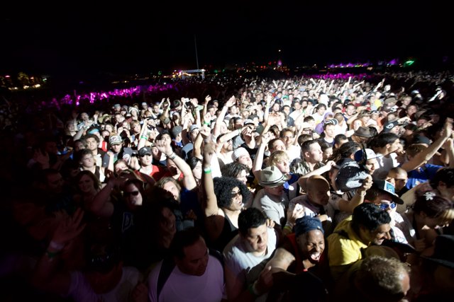 Coachella Crowd goes wild