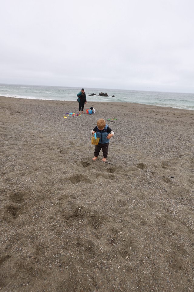 Toddler Explores Rocky Pacific Beach on Father's Day
