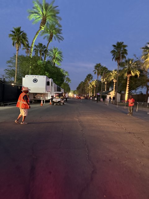 Evening Stroll Along the Palms