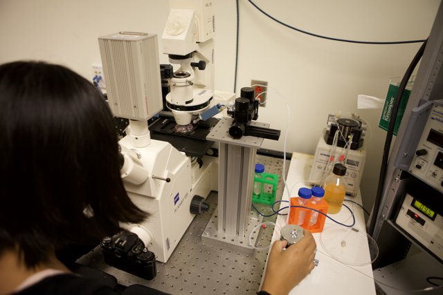 Women in Lab Examining Samples under a Microscope