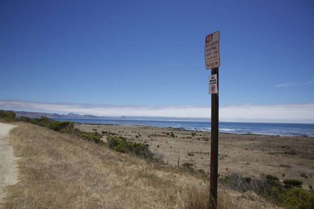Coastal Tranquility in Cayucos