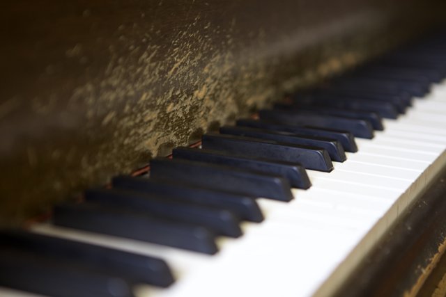 The Piano Keys