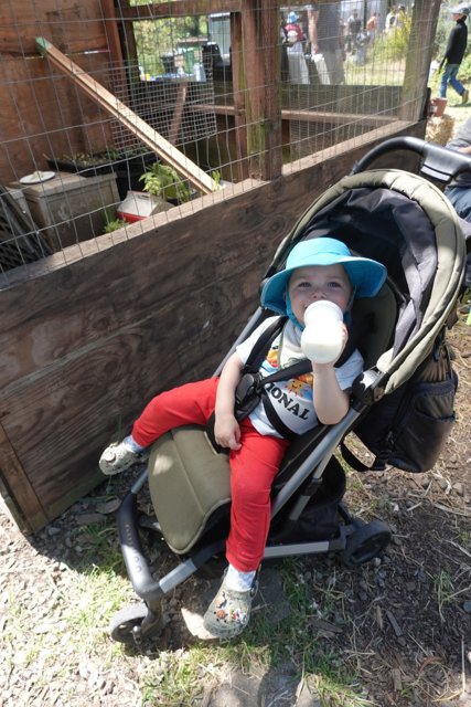 Little Explorer at Rest
