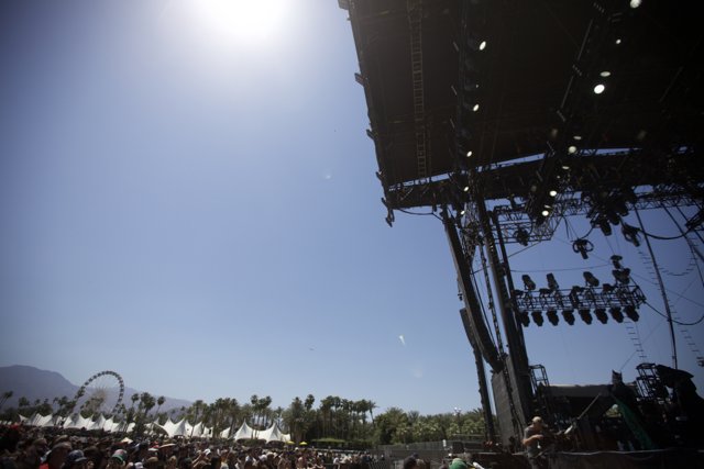 Sun-Drenched Concert Crowd