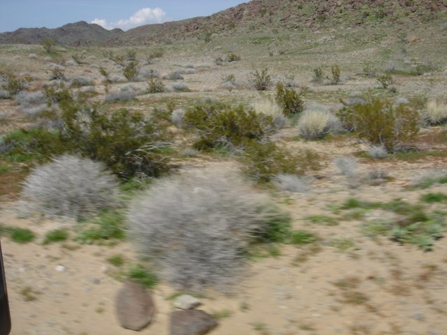 A Train's View of the Desert Landscape