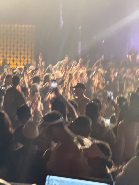 Vibes of the Night