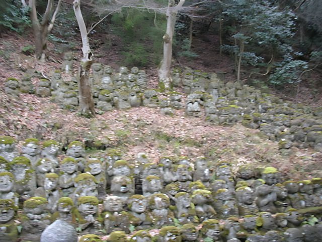 Stone guardians of the forest