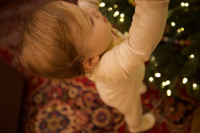 Peaceful Christmas Morning Sleep with Twinkling Tree Lights