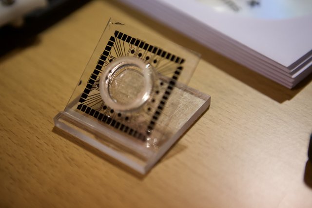The Coin on Clear Display