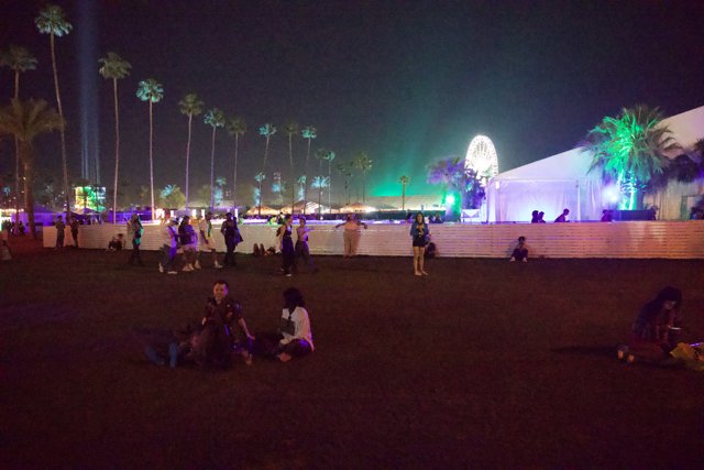 Under the Neon Palms: Night at Coachella 2024