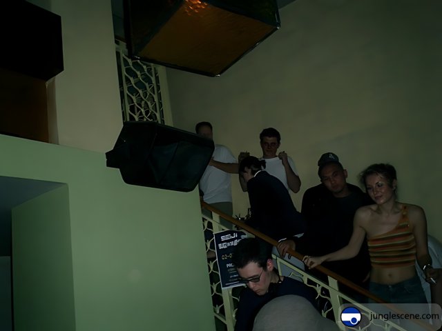 Wedding Party on Stairway