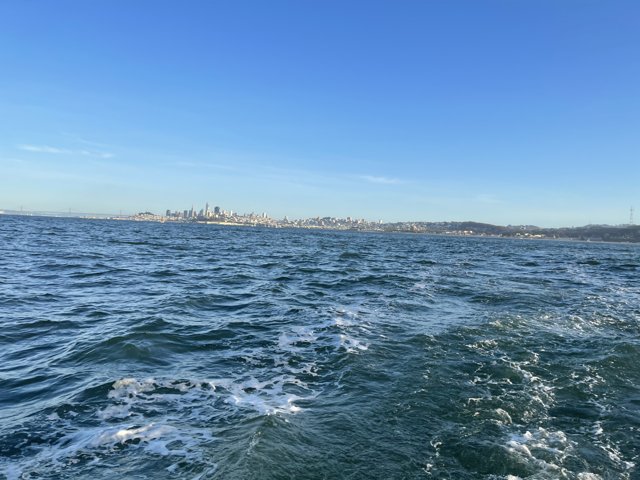 Serene Views of San Francisco Bay