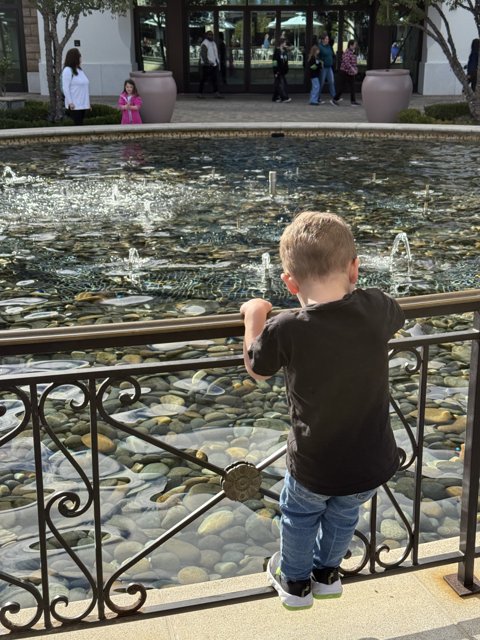 Curiosity by the Fountain