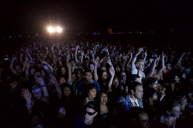 Electrifying Crowd at 2010 Cochella Concert