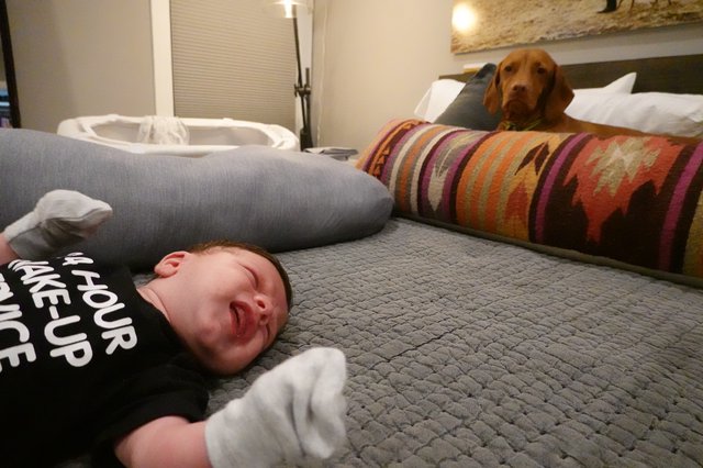 Baby and Dog Relaxing on Bed Together