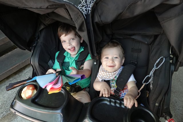 Double Delight in a Stroller