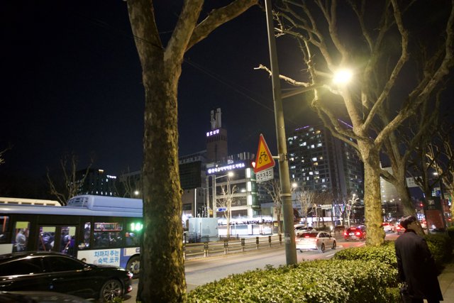 A nocturnal stroll in the heart of Korea