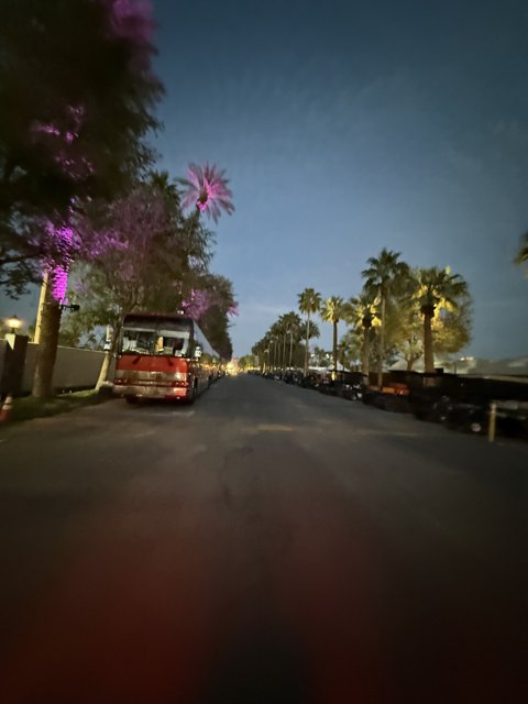 Twilight Tranquility