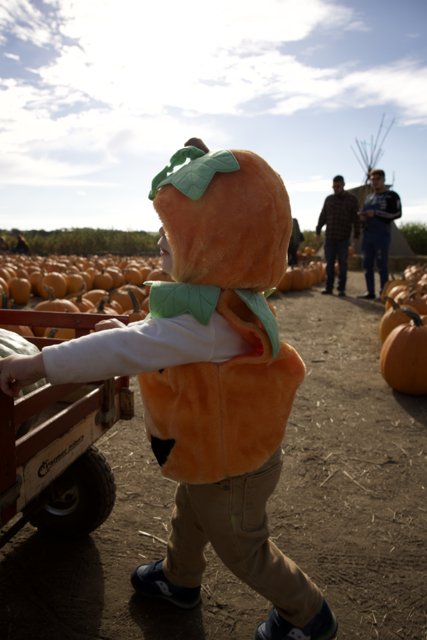Charming Moments in Halfmoon Bay Pumpkin Patch 2023