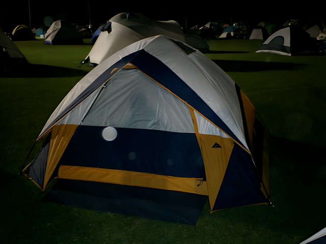 Nighttime Camping on the Grass