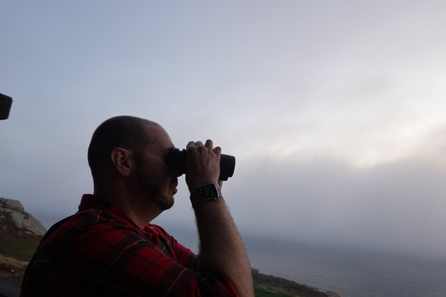 Man with Binoculars Observing Coastal Landscape