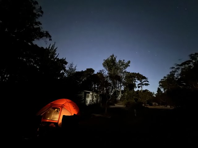 Mystical Night Under The Stars: First Camping Trip 2023