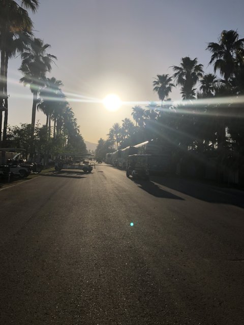 Sunset on Palms Street