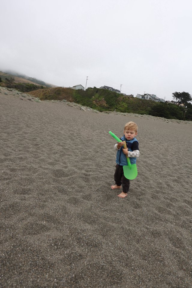 Barefoot Toddler Explores Foggy Pacific Beach