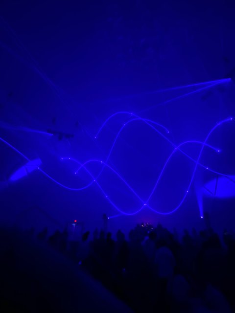 Blue Lights and Crowds