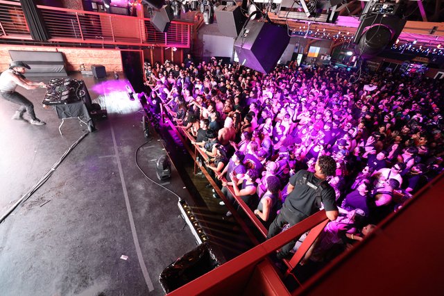 Massive Crowd Engulfed in Purple Light at Wobbleland
