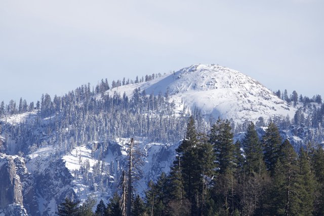 Snow-Covered Mountain Peak Through Winter Forest
