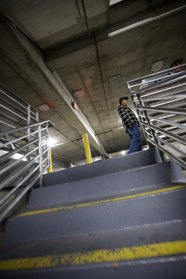 Ascending Industrial Stairwell at Agricultural Facility