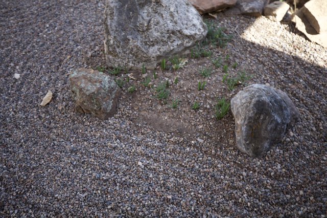 Zen Garden with Rocks and Sparse Gravel Ground