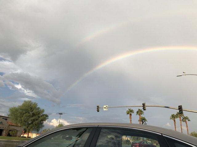 Double Rainbow Delight