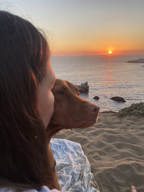 Sunset Stroll with My Furry Friend