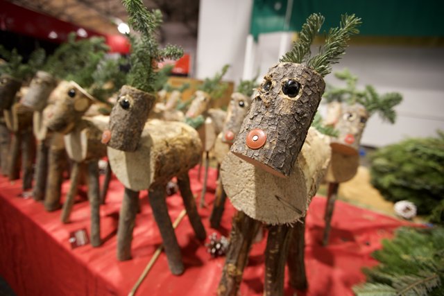 Enchanted Wooden Reindeer Gathering at Fort Mason