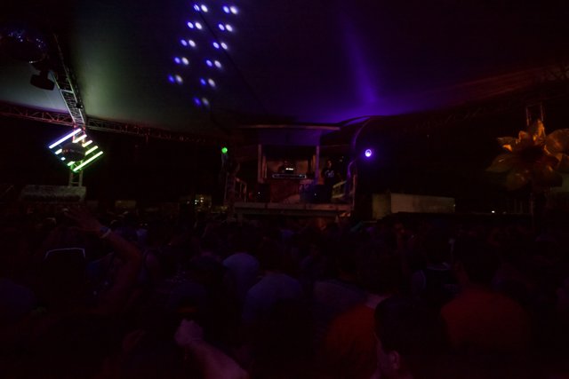 Illuminated Crowd at Coachella 2012